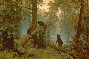 Morning in a Pine Forest, 1889